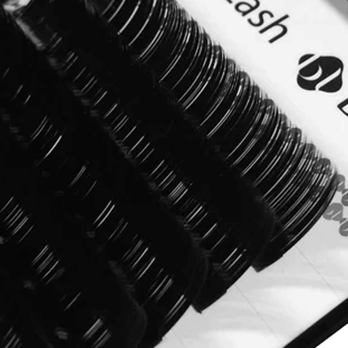 BL Lashes Volume Lash Trays