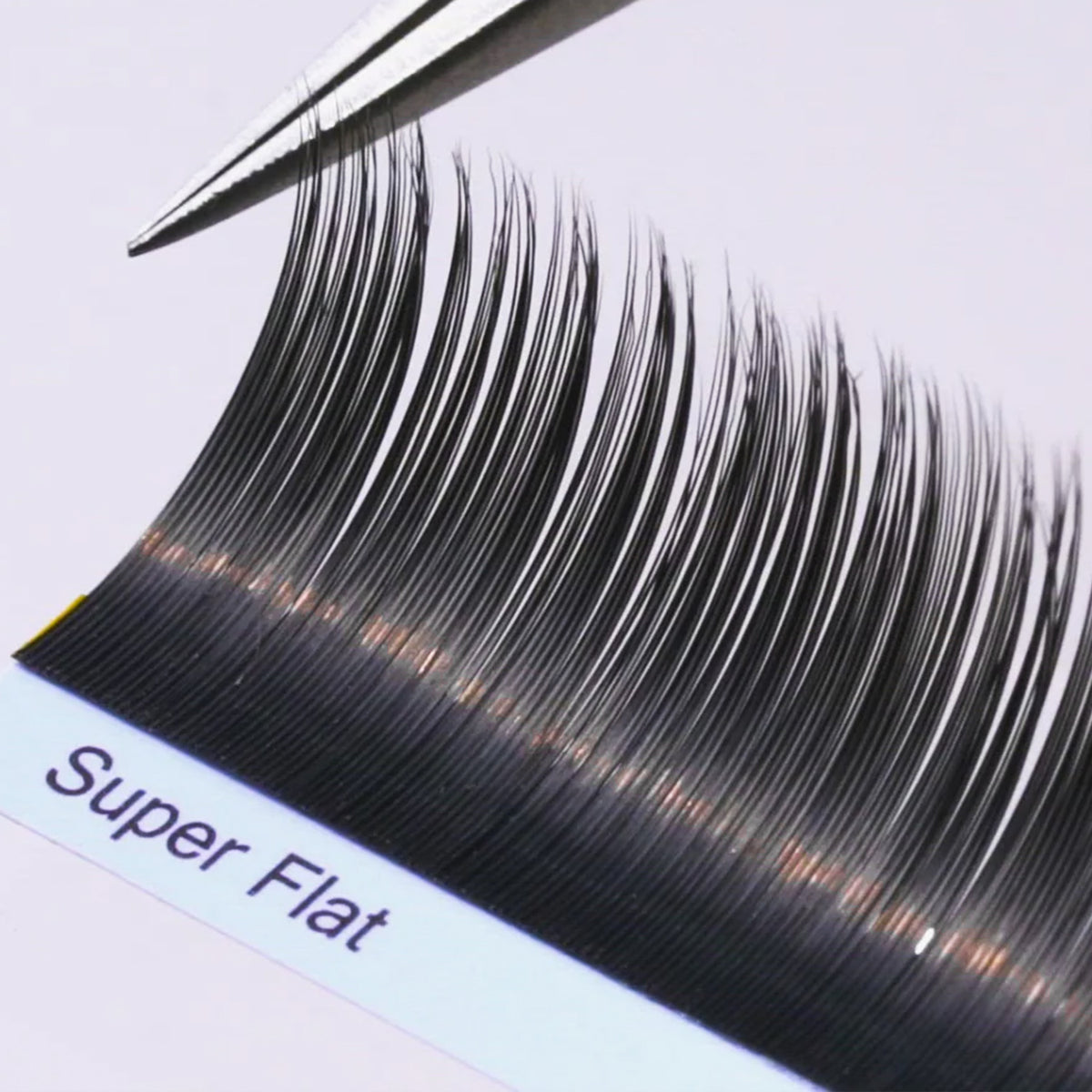 BL Super Flat Lashes Single & Mixed Length